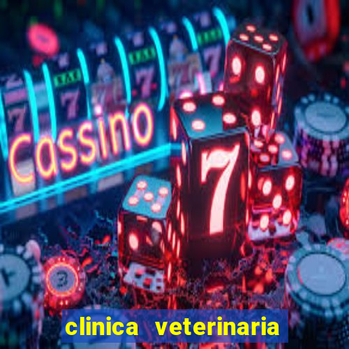 clinica veterinaria cuidar betim