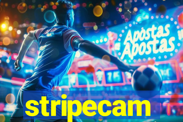 stripecam