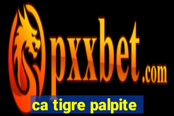 ca tigre palpite