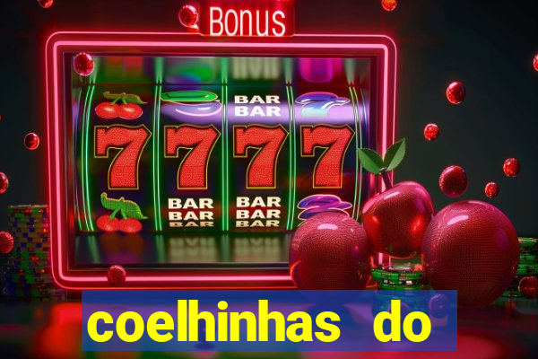 coelhinhas do brasil site