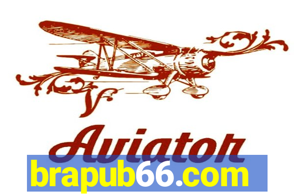 brapub66.com