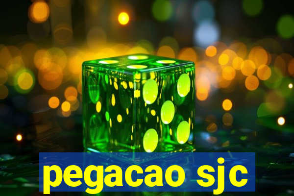 pegacao sjc