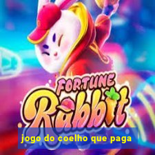 jogo do coelho que paga