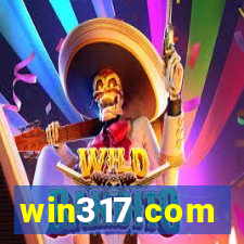 win317.com