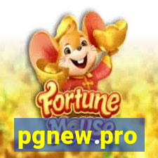 pgnew.pro